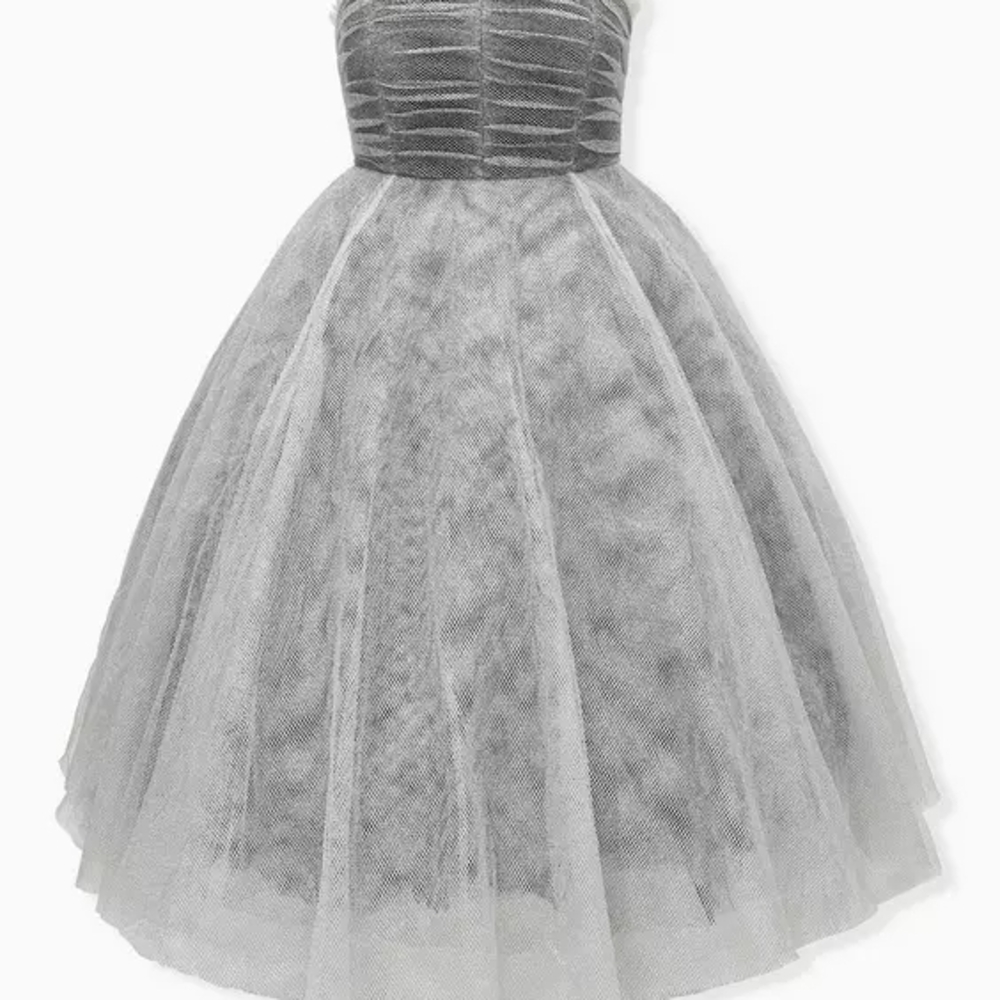 Elegant Silver Tulle Dress with Black Lace Sleeves - Picture 5 of 6